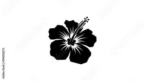 Bold silhouette of hibiscus flower with detailed petals and stamen