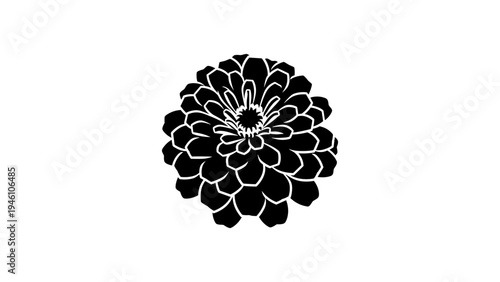Elegant silhouette of a blooming dahlia with detailed petals