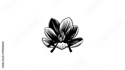 Elegant silhouette of blooming magnolia flower in monochrome style