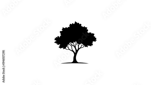 Silhouette of a tree with elegant branches and foliage on white background