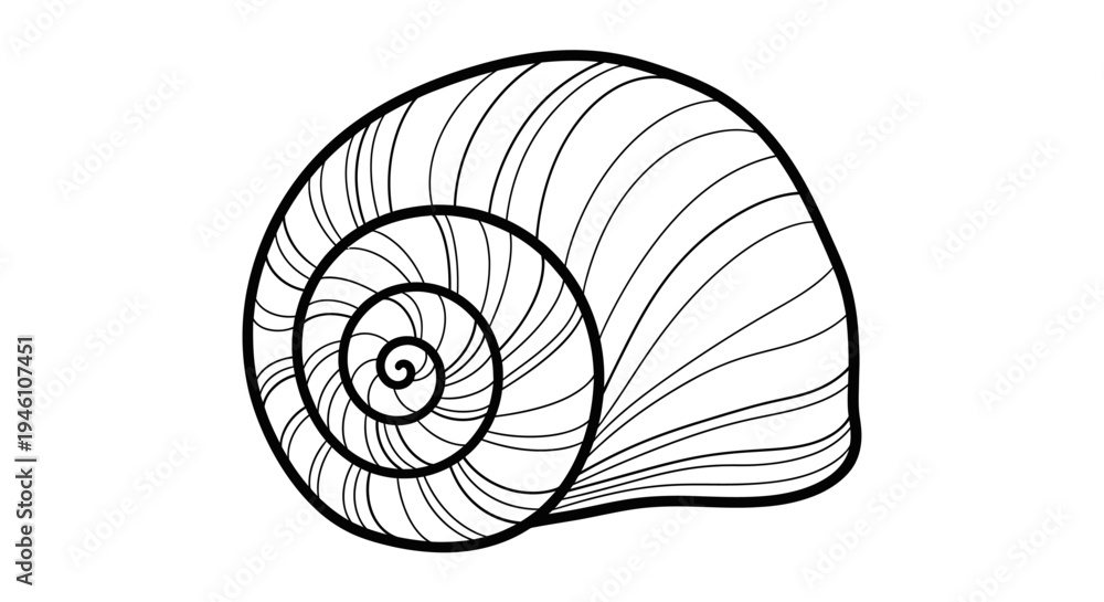 Obraz premium Detailed black and white outline vector illustration of a spiral snail shell. Hand-drawn sea animal mollusk graphic art.