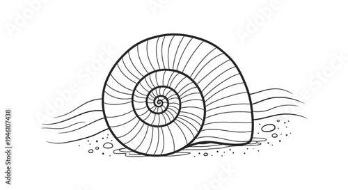 Black and white line art illustration of a spiral seashell on sandy beach with ocean waves. Hand-drawn marine mollusk shell outline.
