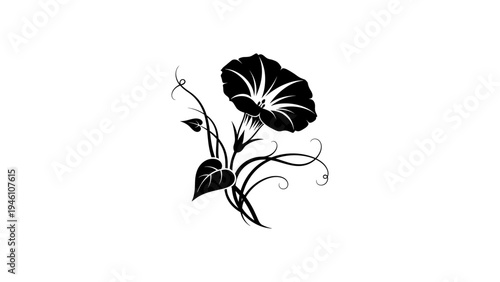 Elegant floral silhouette of morning glory with vines in black and white