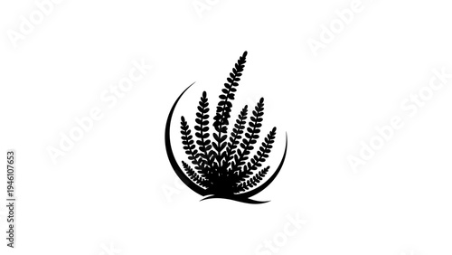 Elegant black silhouette of aloe plant with stylized leaves