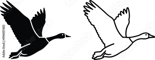 Black and white flying birds silhouette vector illustration Vector