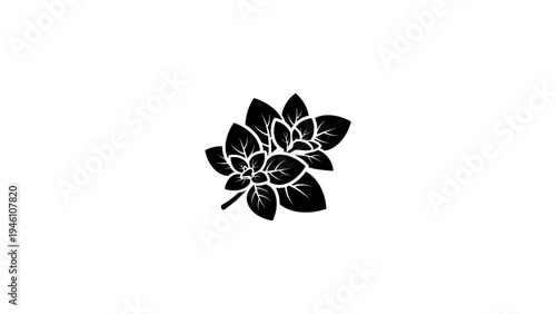 Minimalist silhouette of a leafy branch on white background