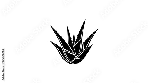Black silhouette of aloe vera plant on white background