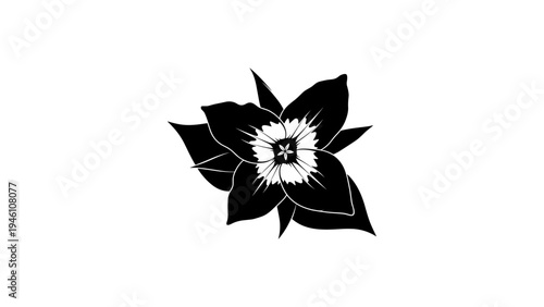 Bold black and white floral design featuring elegant petals