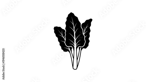 Silhouette of swiss chard leaves on white background
