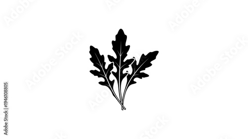 Simple black silhouette of arugula leaf on white background