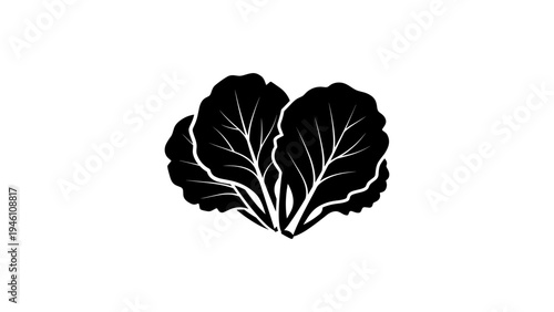 Silhouette of fresh cabbage leaves on white background