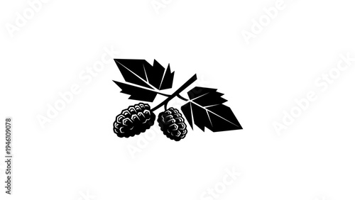 Silhouette mulberry branch with leaves: minimalist black and white botanical design