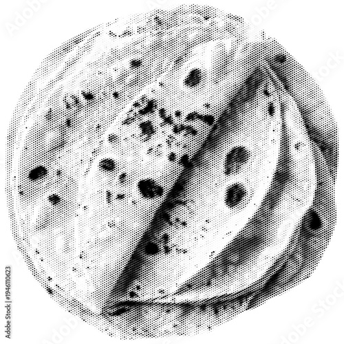 Roti vintage y2k halftone art, traditional Indian flatbread stipple brutalist retro vector png with transparent background, bold 2000s aesthetic photocopy effect tattoo