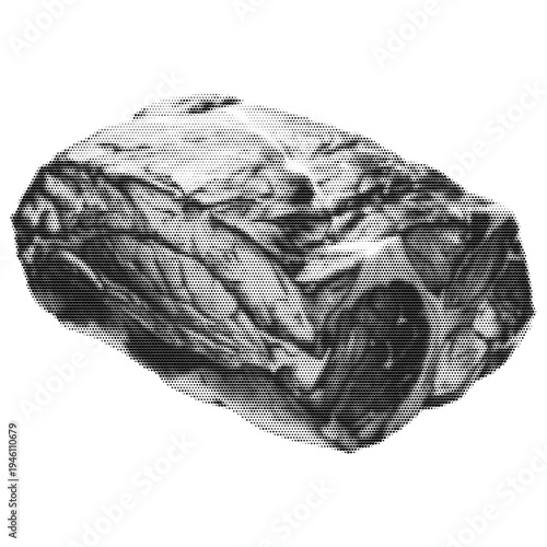 Boneless beef vintage y2k halftone art, raw meat cut stipple brutalist retro vector png with transparent background, bold 2000s aesthetic photocopy effect tattoo