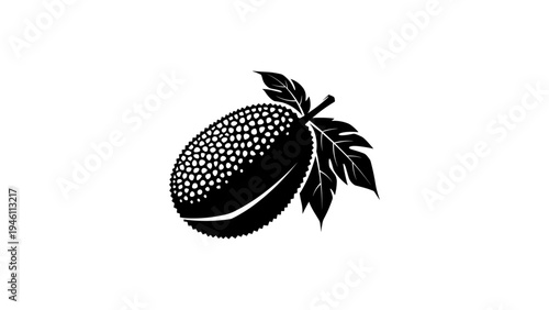 Silhouette of tropical breadfruit with leaves on white background