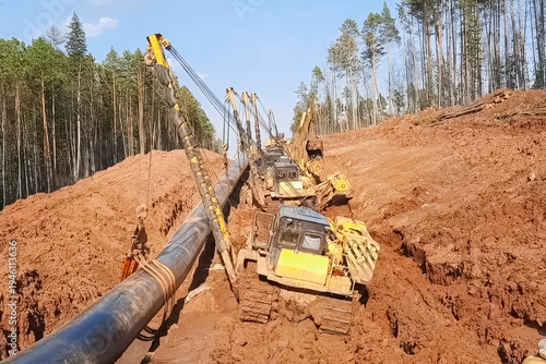 Pipelayer laying pipeline in trench, construction gas pipeline among forest