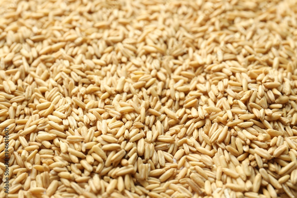Fototapeta premium Natural oat grain as background, closeup view