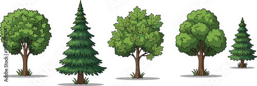 Cartoon Forest Trees Collection Pine and Deciduous Tree Set Nature Vector Illustration Isolated