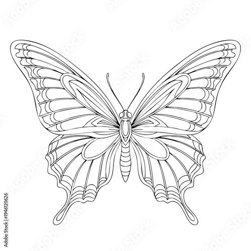 A detailed line drawing of a butterfly.