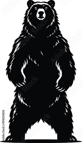 Powerful black bear standing upright vector illustration, strong grizzly silhouette for branding and nature designs