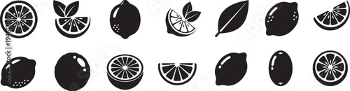 Silhouette of various citrus fruits and leaves in black on white background