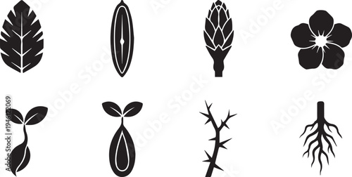 Botanical plant icons and silhouettes