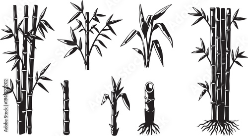 Silhouette of various bamboo plants and stems in black on white background