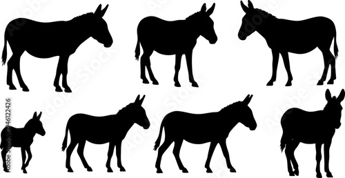 Collection of diverse donkey and foal vector silhouettes for animal farm graphic design projects