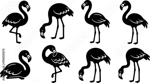 Black silhouette flamingo set with various standing walking and resting poses in simple vector style isolated on white background