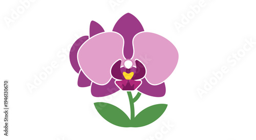 Orchid Flower Vector Illustration, Flat Design, Floral Element for Design, Nature, Spring