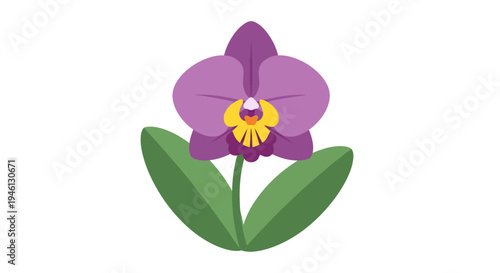 Orchid Flower Vector Illustration, Flat Design, Botanical Art for Decorative Projects
