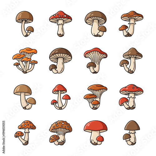 Set of 16 hand-drawn style mushroom illustrations including agaric and porcini species for nature and food design projects.