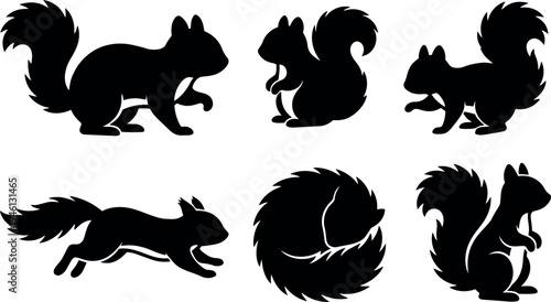 Set of six black silhouette squirrels in various poses including sitting running curled up and holding nut vector art icons