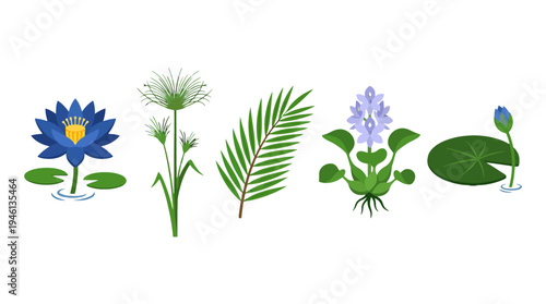 Vibrant Flat Design Vector Illustration of Aquatic and Tropical Plants Set.
