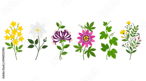 Vibrant collection of six stylized floral illustrations with diverse colors and unique petal shapes.