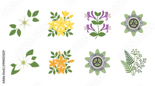 Flat vector botanical illustrations white yellow orange purple flowers green leaves fern and passionflower.