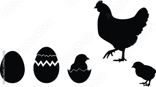 Black silhouette of chicken with eggs and chicks in stages of hatching