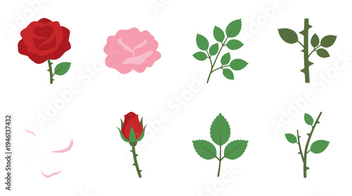 Flat Design Rose Botanical Elements Red Bloom Pink Flower Bud Green Leaves Thorny Stems Petals.