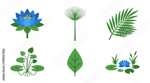 Vibrant Flat Vector Botanical Illustrations Set Aquatic Plants Tropical Leaves and Green Foliage Elements.