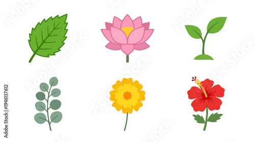 Vibrant flat design botanical vector icons jagged leaf pink lotus green sprout eucalyptus branch yellow marigold red hibiscus flower.