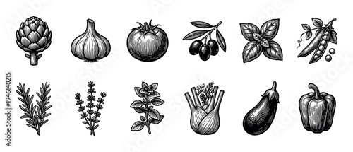 Collection of vintage vegetable and herb illustrations in a black and white hand-drawn engraving style, featuring artichoke, garlic, tomato, olives, basil, and eggplant