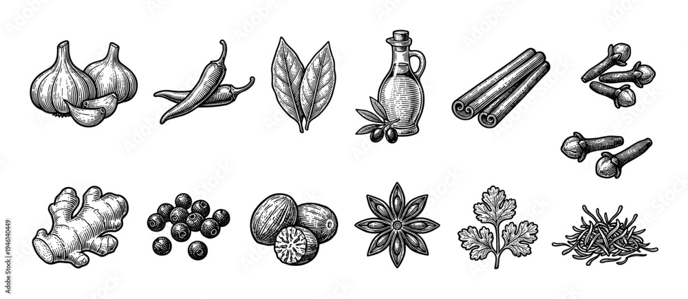 Fototapeta premium Large set of culinary spices and herbs including garlic, chili, cinnamon, ginger, and star anise, illustrated in a detailed black and white vintage woodcut engraving style