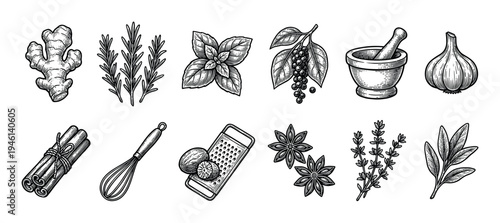 Large set of hand-drawn herbs and spices illustrations in a vintage engraving style including ginger, rosemary, basil, pepper, garlic, cinnamon, and kitchen utensils