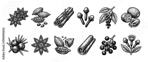 Collection of hand-drawn spice illustrations in a vintage engraving style showing cinnamon, anise, cloves, nutmeg, cardamom, juniper, and black pepper in a detailed sketch