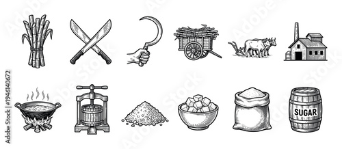 Set of vintage engraving style icons showing the process of sugar production from sugarcane, including harvesting, milling, boiling, and the final product in a barrel and sack