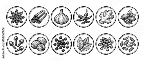 Large set of spice and herb icons in a vintage engraving style, including star anise, cinnamon, garlic, chili, ginger, cardamom, cloves, nutmeg, pepper, bay leaf, and cumin