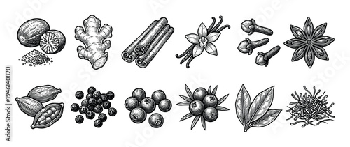 Large set of various spices drawn in a vintage black and white engraving style, including cinnamon, ginger, nutmeg, vanilla, clove, anise, cardamom, pepper, juniper, and saffron