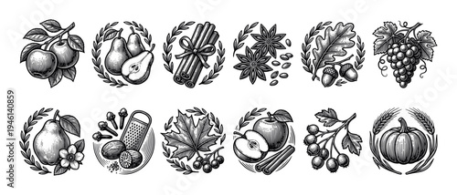 Collection of vintage autumn harvest icons in a hand-drawn engraving style showing fruits, spices, and foliage like apple, pear, grape, cinnamon, clove, nutmeg, and oak leaf