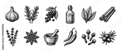 Collection of hand drawn spices and herbs illustrations in a vintage woodcut style, showing garlic, rosemary, pepper, cinnamon, thyme, anise, chili, and juniper for cooking
