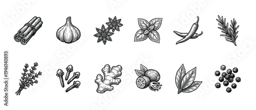 Collection of hand-drawn spices and herbs in a vintage engraving style including cinnamon, garlic, ginger, chili, basil, and rosemary for culinary and botanical designs